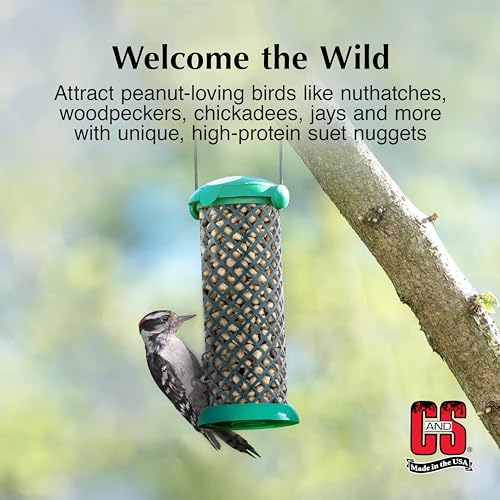 C&S Wild Bird Peanut Suet Nuggets Mega Box, 8 Pounds