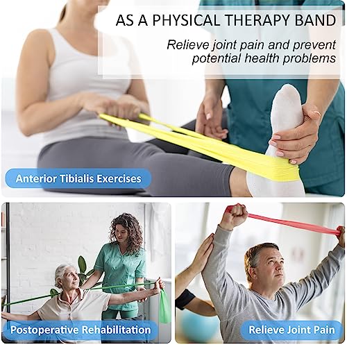 Resistance Bands for Working Out, Physical Therapy Bands, Latex Free Elastic and Exercise Bands Set for Stretching, Suitable for Rehab, Yoga, Pilates, Gym, Home Exercise
