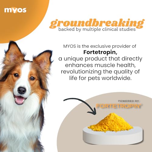 All-Natural Muscle Building Supplement - Helps Reduce Muscle Loss in Aging Dogs and Improve Recovery from Injury or Surgery