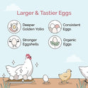 Mile Four Chick Grit for Baby Chicks - Chickens Age 0-8 Weeks, 100% Natural Mineral Chick Grit Quartzite, Poultry Grit Digestive Aid, USA Mined, 4 lbs