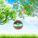 2 Pcs Natural Coconut Shell Bird Nest House Bed Breeding Nesting Anti-Pecking Bite with Warm Pad and Bell for Bird Parrot Budgie Parakeet Cockatiel Conure Lovebird Canary Finch