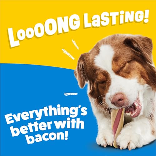 Purina Busy With Beggin' Dog Treats, Twist'd - 10 Count (Pack of 1)