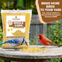 Whole Corn 10 LB– Premium Bird Seed & Wildlife Feed for Ducks, Deer, Squirrels, Chickens, and Turkeys – Whole Corn for Wild Birds – Grown in USA