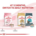 Royal Canin Feline Health Nutrition Kitten Thin Slices in Gravy Cat Food, 3 oz (Pack of 24)