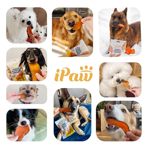 iPaw Sweet Potato Dog Treats