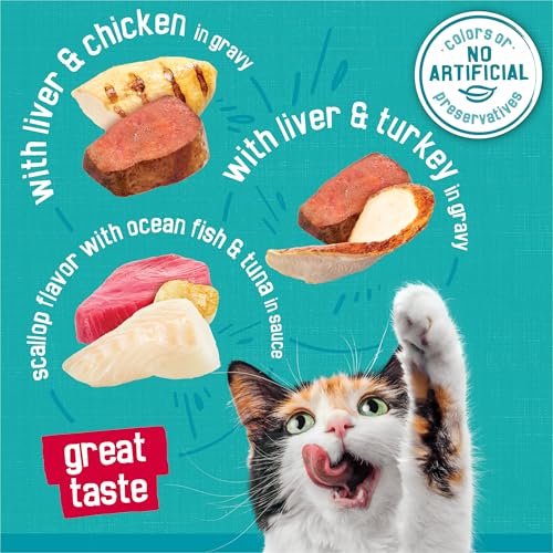 Purina Friskies Wet Cat Food Variety Pack, Tasty Treasures  Filets (With Ocean Fish and Tuna, With Chicken and With Turkey) - 5.5 Ounce (Pack of 12)