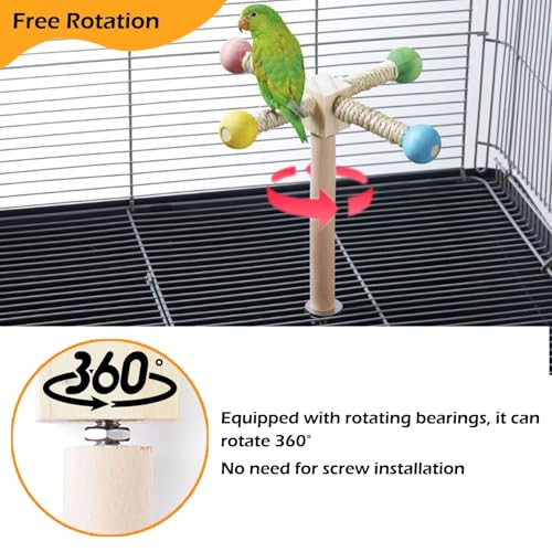 Bird Stand Perch Toy, Interactive Spinning Parakeet Toys, Wooden Exercise Wheel Parrot Toy, Enrichment Cockatiel Toy for Birds Cage, Bird Cage Accessories Perch Toys for Budgies (Small)