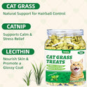 Wellix 13.05oz Cat Grass Treats with Catnip & Salmon - Healthy Cat Treats for Indoor Cats - Hairball Control & Digestive Support - Kittens Training Snacks for Teeth Cleaning