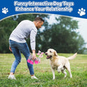 loncoldy Plush Chew Toys for Large Dogs, Tough Crinkle Stuffed Animal Squeaky Interactive Toys for Small Medium Large Dogs, Keep Them Busy, Big Pet Toys
