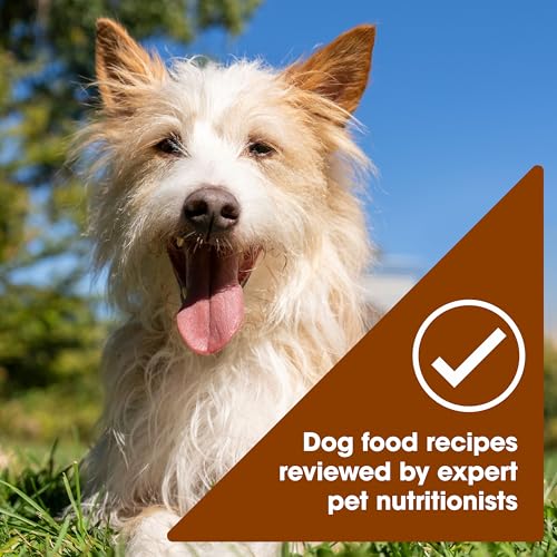 Nature's Recipe Grain Free Wet Dog Food Variety Pack, Chicken Recipes with Beef, Turkey & Lamb in Savory Broth, 2.75 oz. Cups (Pack of 12), 2 Count