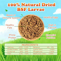 Amzey 11 LBS Dried Black Soldier Fly Larva - All Natural BSF Larvae - 85X More Calcium Than Mealworms - High Calcium Treats for Chickens, Birds, Reptiles, Hedgehog, Geckos, Turtles