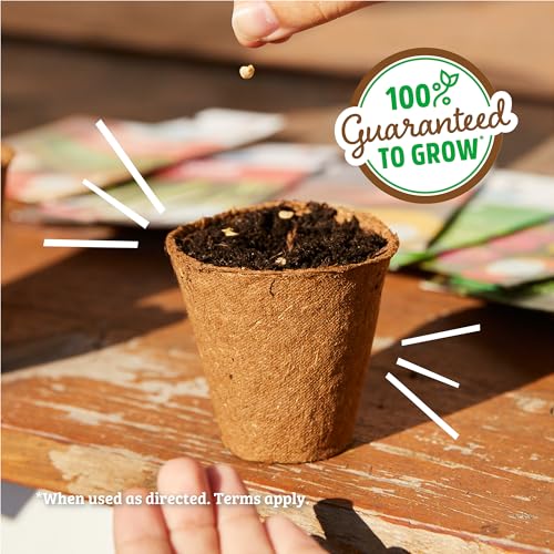 Back to the Roots 100% Heirloom Rescued Seeds, Variety Pack, 30ct of Organic Veggies, Herbs & Flowers to Prevent Waste (Assortment Varies)