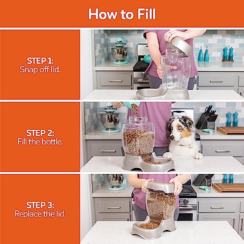 Petmate Pet Cafe Feeder Dog and Cat Feeder Pearlescent