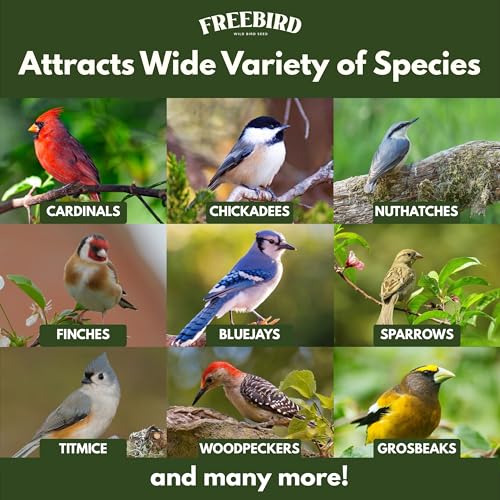 Wild Bird Seed for Outside Feeders – Premium Songbird Blend with Black Oil Sunflower, Safflower, Millet & Peanut Pieces – Bird Food for Cardinals, Finches & Songbirds – 5 lb Bag