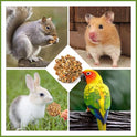 Abizoo Natural Pinecone Chew Toys with Edible Sunflower & Veggies - Malt Sugar Coated Foraging Enrichment for Parrots Cockatiels Conures Budgies Immune & Digestive Support Safe Bird Toy 2pcs