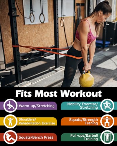 Zacro Resistance Bands Set with Door Anchor, Heavy Duty Pull Up Exercise Bands for Working Out, Muscle Power Strength Training, Physical Therapy, Home Fitness Gym Equipment for Men & Women