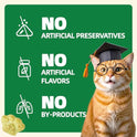 Wellix 13.05oz Cat Grass Treats with Catnip & Salmon - Healthy Cat Treats for Indoor Cats - Hairball Control & Digestive Support - Kittens Training Snacks for Teeth Cleaning