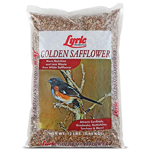 Lyric Golden Safflower Bird Seed for Outside Feeders - Attracts Cardinals, Chickadees, Woodpeckers & More, 12 lb Bag