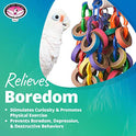 Super Bird Creations SB1107 Bagel Cascade Bird Toy, Large Bird Size, Refillable Bagels, 15” x 4.5”