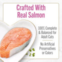Purina Fancy Feast Petites Seared Salmon Entree With Spinach in Gravy Gourmet Wet Cat Food - (Pack of 12) 2.8 oz. Tubs