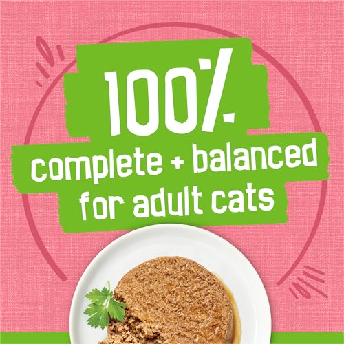 Purina Friskies Wet Cat Food Pate, Pate Salmon Dinner - (Pack of 24) 5.5 oz. Cans