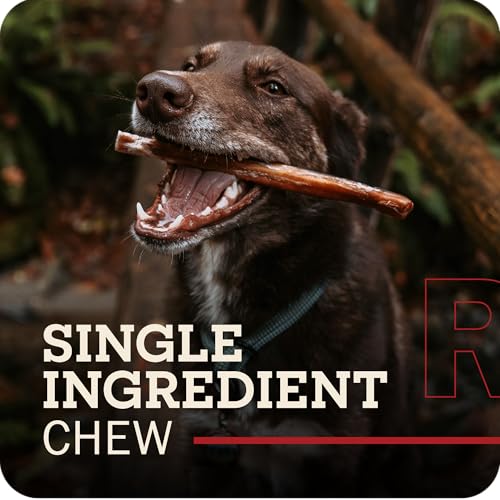 Redbarn Pet Products All Natural 5"-8" Bully Sticks for Small & Large Dogs - Healthy Long Lasting Chews Variety Party Pack - 100% Beef Single Ingredient Low Odor Rawhide Free Dental Treats - 8 oz Bag