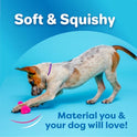 Hartz DuraPlay Bone Squeaky Latex Dog Toy for Medium Breeds, 3 Pack