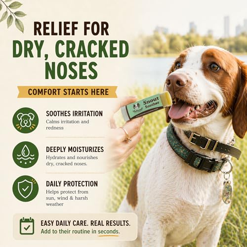 Natural Dog Company Snout Soother Dog Nose Balm – Moisturizing Care for Dry, Crusty, Cracked Noses with Coconut Oil & Shea Butter, Lick Safe Dog Snout Balm for All Breeds - 1 oz Tin