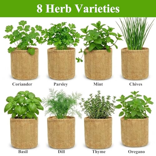 Indoor Herb Garden Kit, Culinary Herb Starter Kit with Seeds & Tools for Beginners, Kitchen Decor, House Warming Gifts for New Home, for Christmas, Ultimate Birthday Gifts for Women Men Mom Dad