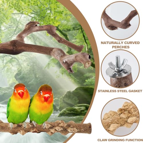 LIMIO 6-Piece Bird Perch Set - Natural Wood Grape Sticks, Paw Grinding Forks, Bird Stand & Toys for Parakeets, Cockatiels, Conure, Budgies