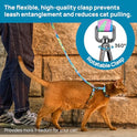 Cat Harness and Leash Set - Escape Proof Adjustable Cat Harness, Comfortable Soft Lightweight, Use Safe & Easy, Walking Travel Kitten Harness for Small Medium Large Cats (Hawaii Green)