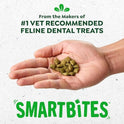 Greenies Feline Smartbites Healthy Kitten Treats for Indoor Kittens, Crunchy and Soft Natural Cat Treats, Chicken Flavor, 16 oz. Tub