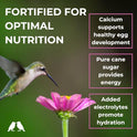 BIRDBROS Hummingbird Nectar Powder Nectar+ Hummingbird Food for Feeders – All-Natural, Dye-Free, No Boil, Easy Mix – Pure Cane Sugar, Hummingbird Feeder Refill, Made in USA – Makes 96 oz