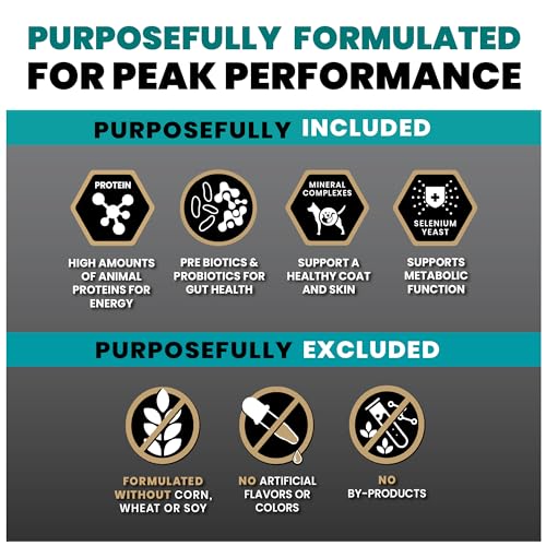 VICTOR Super Premium Dog Food – Hi-Pro Plus Dry Kibble – High Protein Dog Food with 30% Protein – Beef, Chicken, Pork, Fish Meals, Gluten Free - for High Energy and Active Dogs & Puppies, 30lbs
