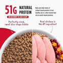 Nulo Freestyle Cat & Kitten Dry Food - Chicken & Cod Recipe, High Protein Grain Free Cat Food, Natural Kibble with Probiotics & Omega Fatty Acids, 4lb Bag