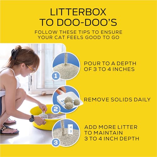 Purina Tidy Cats Low Dust Clumping Cat Litter, LightWeight Free & Clean Unscented, Multi Cat Litter - 17 lb. Box | Unscented, charcoal-powered formula offers 21-day odor control and tight, dust-free clumping.