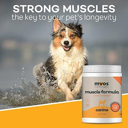 All-Natural Muscle Building Supplement - Helps Reduce Muscle Loss in Dogs Due to Normal Aging and Improves Recovery from Injury or Surgery