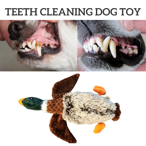 Duck Dog Toy Squeak Toys | Mallard-Shaped | Shaped Pet Toys | Duck Dog Toys for Large Dogs | Mallard Dog Toy | Dog Chew Toys | Stuffed Toys Interactive Animal.