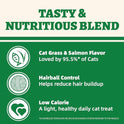 Wellix 13.05oz Cat Grass Treats with Catnip & Salmon - Healthy Cat Treats for Indoor Cats - Hairball Control & Digestive Support - Kittens Training Snacks for Teeth Cleaning