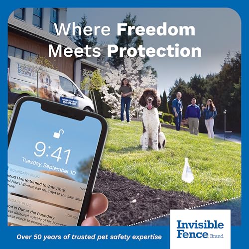 Invisible Fence Power Cap Battery, 2-Pack