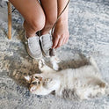 OurPet's Play-N-Squeak Teathered & Feathered Play Wand Cat Toy, for All Breed Sizes