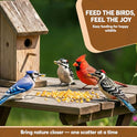 Whole Corn 10 LB– Premium Bird Seed & Wildlife Feed for Ducks, Deer, Squirrels, Chickens, and Turkeys – Whole Corn for Wild Birds – Grown in USA