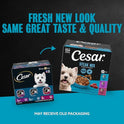 Cesar Filets in Gravy Adult Wet Dog Food Variety Pack, Filet Mignon, New York Strip, and  Rib Flavors, 3.5 oz. Easy Peel Dog Food Tray, 24 Count (Pack of 1)