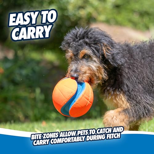 Chuckit! Kick Fetch Ball Dog Toy - Floats in Water - Perfect for Interactive Play - Made with Durable Rubber and Foam - For Large Dogs - Size Large - 8-inch Diameter - Pack of 1
