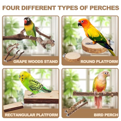 LIMIO 6-Piece Bird Perch Set - Natural Wood Grape Sticks, Paw Grinding Forks, Bird Stand & Toys for Parakeets, Cockatiels, Conure, Budgies