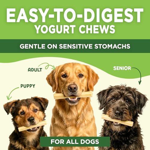EcoKind Yogurt Dog Chews – Bacon | Dog Treats with Probiotics for Digestive Health, Gut Support & Wellness | Lactose Free, Grain Free, Natural Dog Treat | for All Breeds | USA Made | 25 Chews