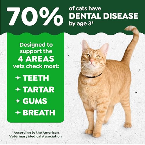 Greenies Cat Treats, Feline Veterinarian-Recommended Adult Natural Dental Cat Treats, Savory Salmon Flavor, 9.75 oz. Tub
