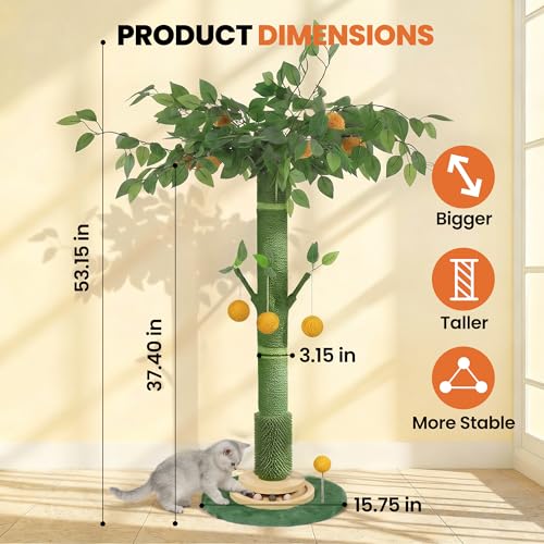 53" Tall Cat Scratcher Tree
