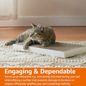 Basics Corrugated Cardboard Cat Scratcher, Scratching Board, Reversible, 17.4" x 10", White, 4-Pack
