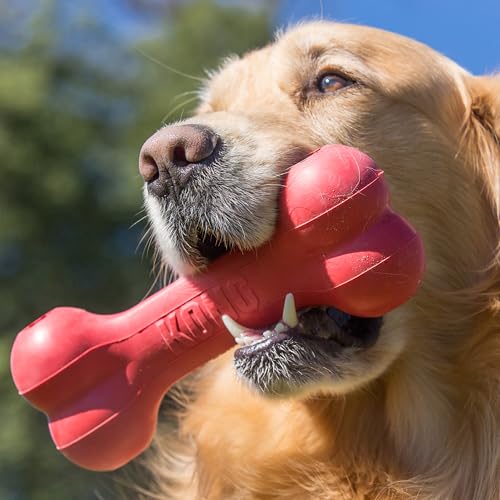 KONG Goodie Bone - Classic Durable Natural Rubber Dog Bone, Supports Mental Engagement - Treat Dispensing - Red - for Medium Dogs